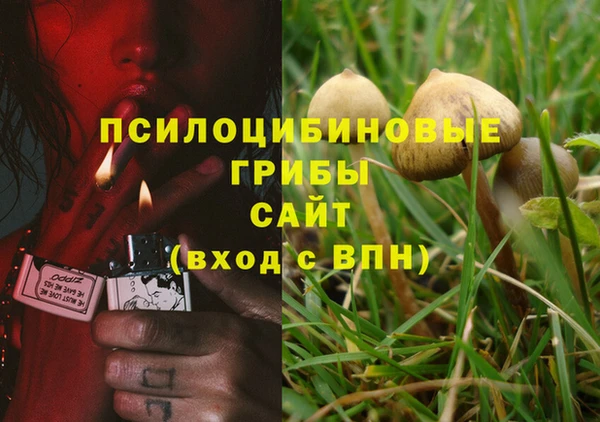 ALPHA PVP Гусиноозёрск