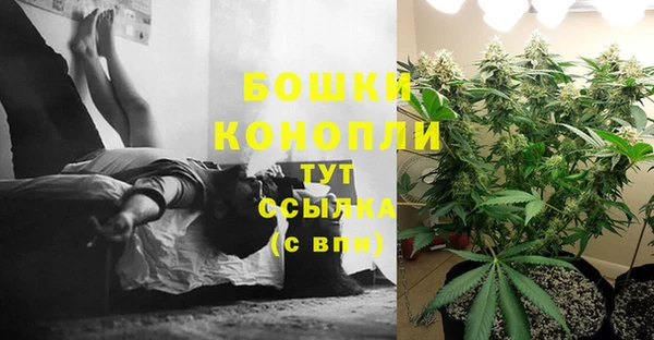 ALPHA PVP Гусиноозёрск