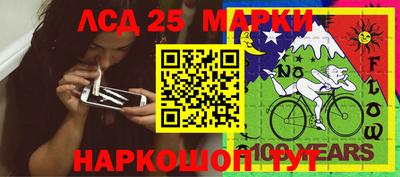 индика Камышлов