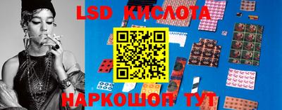 индика Камышлов