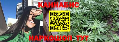 индика Камышлов
