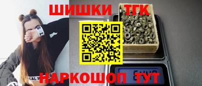индика Камышлов