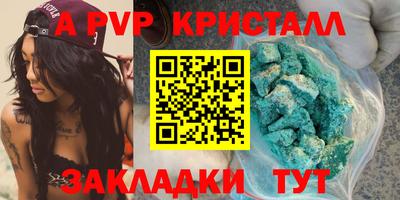 индика Камышлов