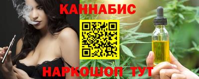 индика Камышлов
