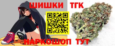 индика Камышлов