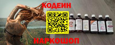 индика Камышлов