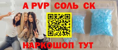 индика Камышлов