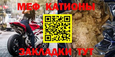 индика Камышлов