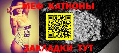 индика Камышлов