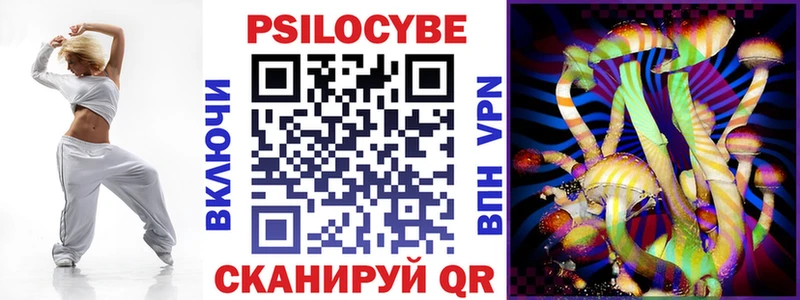 купить наркотики цена  Заречный  Псилоцибиновые грибы Cubensis 